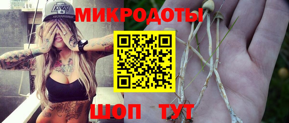 Псилоцибиновые грибы Psilocybine cubensis Крымск